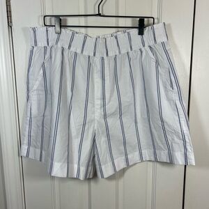 Aerie Striped White and Blue Women's Shorts Size XL